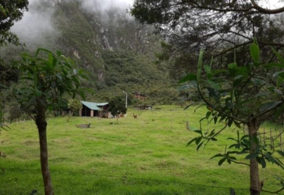 farm for sale quito ecuador