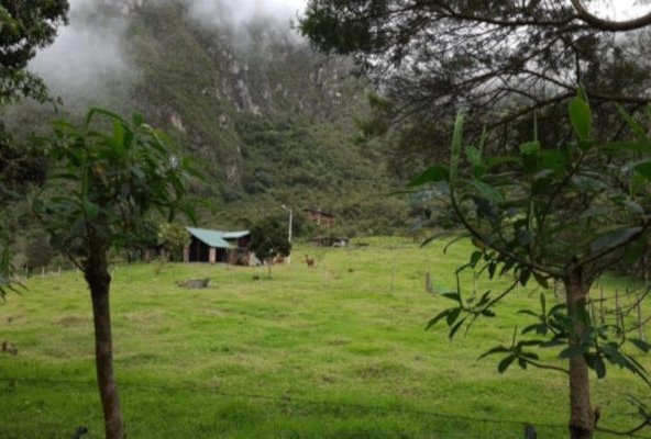 farm for sale quito ecuador